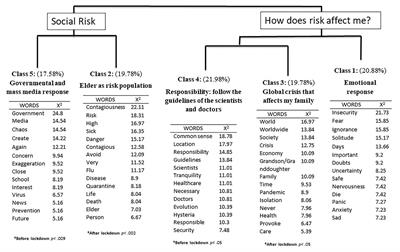 Exploring the Social and Emotional Representations Used by the Elderly to Deal With the COVID-19 Pandemic